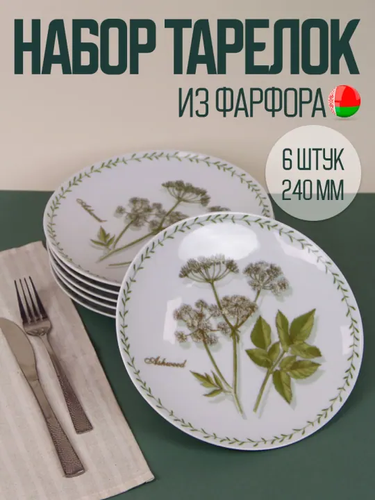 Тарелки плоские обеденные набор 6 штук 24 см фарфоровые Ботаника Универсал