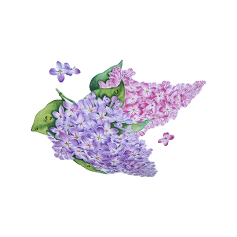 Пиала (миска для мюсли) 330 см3 Сирень