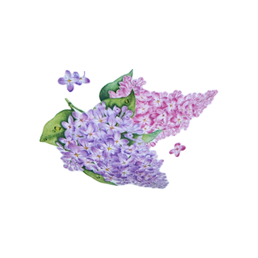 Пиала (миска для мюсли) 330 см3 Сирень